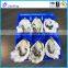 OEM available New Stype pp formed plastic tray for oyster packing for restaurant