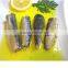 155g Canned Sardine in Vegetable Oil(WW-425)