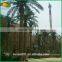 Decorative Outdoor Palm Tree Artificial Date Plam Tree Sale