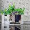beautiful small crystal frame photo image