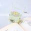 Chinese factory selling! 450ml Party use teapots set High borosilicate glass tea cups