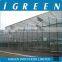Venlo type flower multi span commercial greenhouse