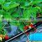 column emitter type drip irrigation PE water pipe