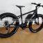 26inch Al Alloy Frame Torque Sensor Mid Motor Mountain Electric Bike