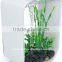 wholesale clear acrylic terrarium plants