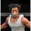 China Supplier high-quality new product Handsome popular diamond Wolf polyresin figurines with led light