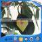 MDE199 rfid epoxy tag made in china