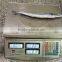 Frozen Pacific Saury Fit For Bait Only