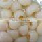 Canned Lychee In Light Syrup