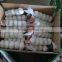 Natural Garlic peeling unpeeled fresh garlic import export wholesale