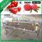 Fruit Sorting Machine, dates Grading Machine, Fruit Sorter Machine