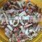 Good Sale IQF Frozen Seafood Mix