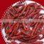 whole red chilli pepper pods