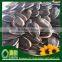 High Quality Good Price Inner Mongolia Sunflower Seeds
