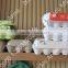 Good quality egg tray making machine price made in China with SH Machinery
