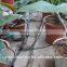 New China Drip irrigation supplies micro irrigation system