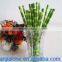 WY-159 Decorative flexiable 100% recycable cheap bamboo straw for drinking