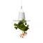 Sky Planter Upside Down Indoor Plant Pot
