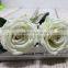 GNW FL-RS65-10CM-PU New arrival wholesale champagne rose flower for sale