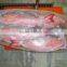 Frozen Red Snapper Whole