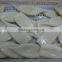 frozen squid tube todarodes pacificus U7 U10