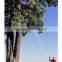 Double blades Saw for High Limb Tree