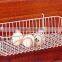 Baseball glove holder slatwall hooks accessory