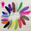 Wholesale multicolor decotation goose feather for party and wedding15-20cm