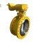 High Performance Butterfly Valve
