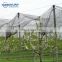 Hot sale factory direct Agriculture anti hail net