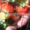 Small Package Garden Anti Bird Net