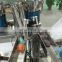 Vertical flexible plastic food packaging machine with conveyor counting device for small bags into big bags