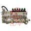 BYC NEW Injection Pump T73208225 Engine 1006TG02 Injection Pump CPES6PB110D120RS3162 Pump