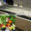 cheap price vegetable washing machine with ozone system