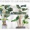 Factory Supply Stake Potted Starter Stir Fiber Climbing Support Gardening Plant Moss Poles