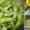 2021 Sinocharm BRC-A Approved  IQF Frozen Edamame original fresh  green Frozen Edamame