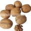walnut light amber brand 100 grams dry walnuts medium cedar walnut from byloo group China