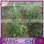 Hot sale black bird netting