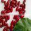 Dark red light speckled kidney beans(2015 crop)                        
                                                Quality Choice