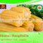 products china premium quality indian corn