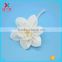 Wholesale Dia.8.0cm daffodil, new design with high quality Dried sola flower