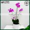 factory design artificial orchids phalaenopsis flower pot