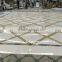 lobby marble flooring design with pakistan green onyx