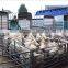 high quality galvanized Metal livestock farm fence panel