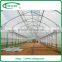 Economical tunnel greenhouse for vegetable