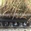 2013 new Sheet Drain drainage sheet roof garden