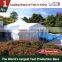 200 People High Peak Wedding Tent With Air Condition System