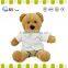 Sitting soft plush bear 11" tall