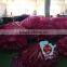 wholesale 180cm PVC giant pink inflatable seashell pool float