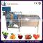 Small manufacturing machines for vegetable fruit cleaner /washing machine